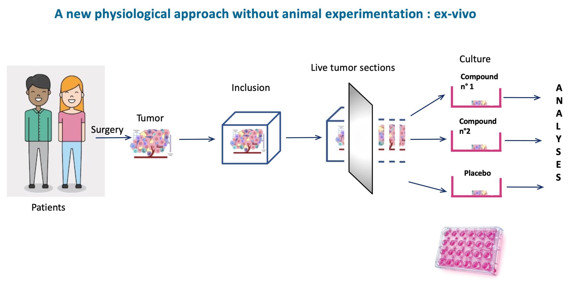  Sophie Lon et Julien Marie - Process for cultivating live human tumors