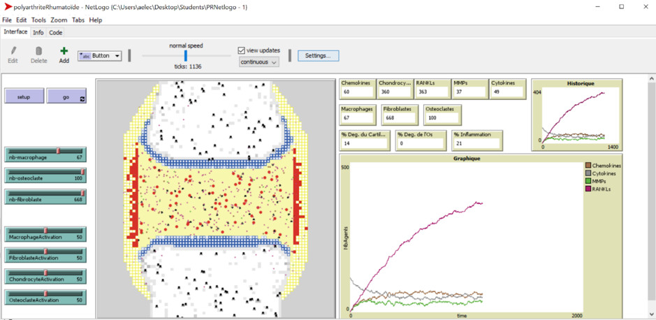  Anna Niarakis - Capture d'cran du prototype du modle ABM RA construit  l'aide du logiciel NetLogo