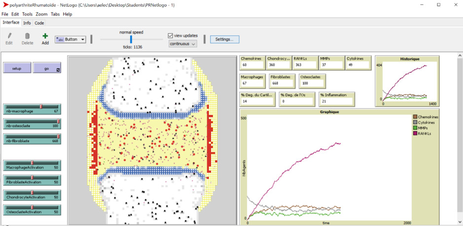  Anna Niarakis - Screenshot of the prototype ABM RA model built using the software NetLogo.