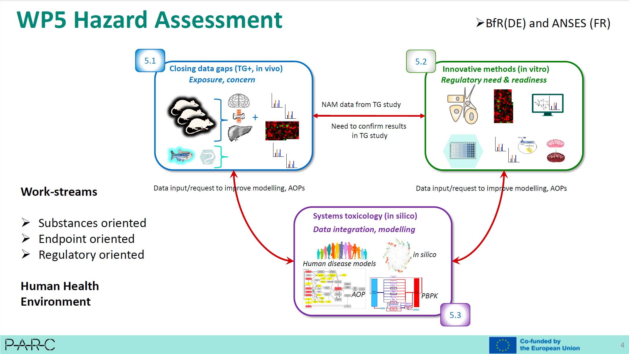  Mirjam Luijten - Contribution of the PARC project - and ANSES - to the risk assessment of chemicals based solely on non-animal methods