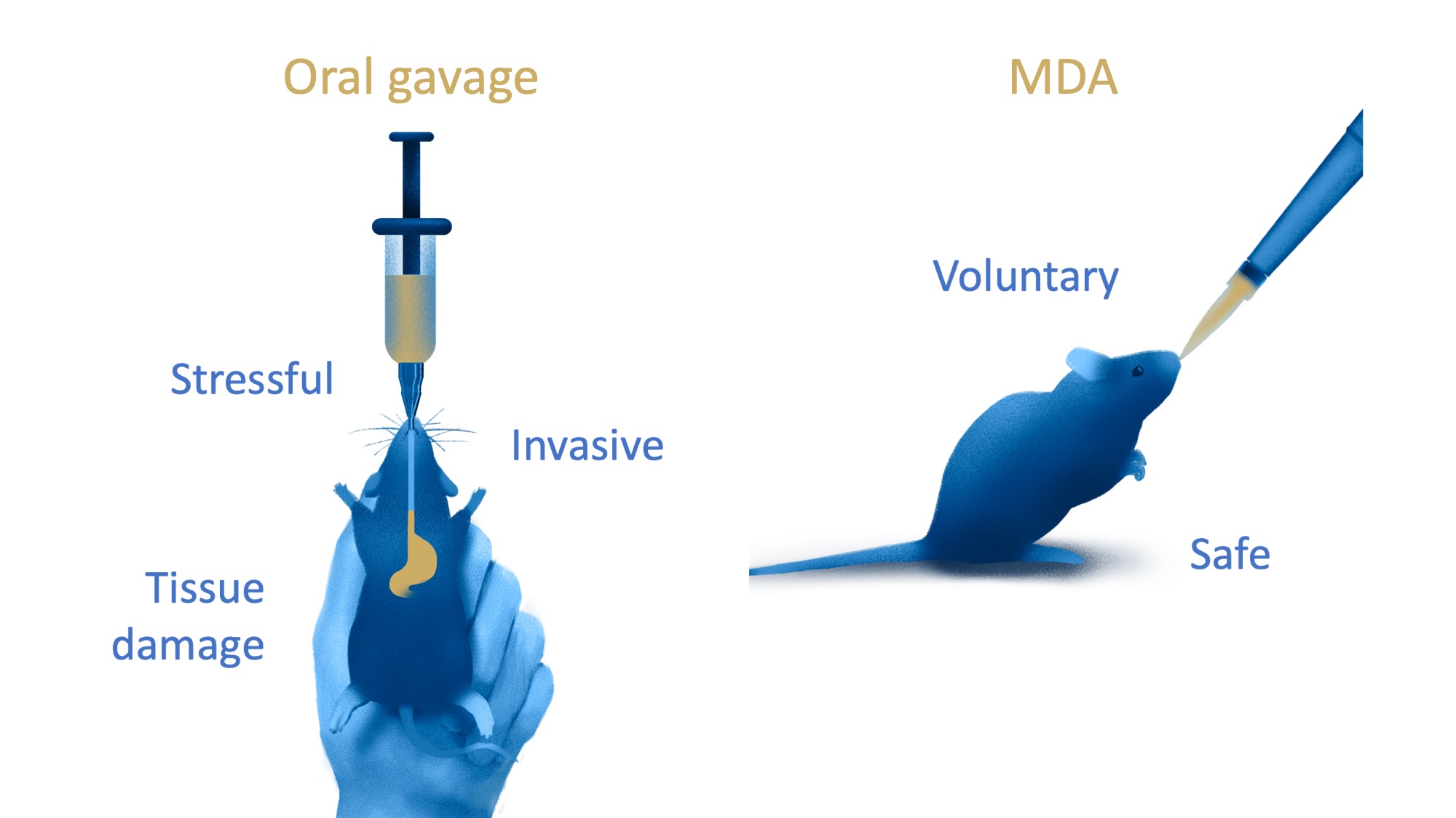 Micropipetteguided drug delivery method a 3R alternative FC3R