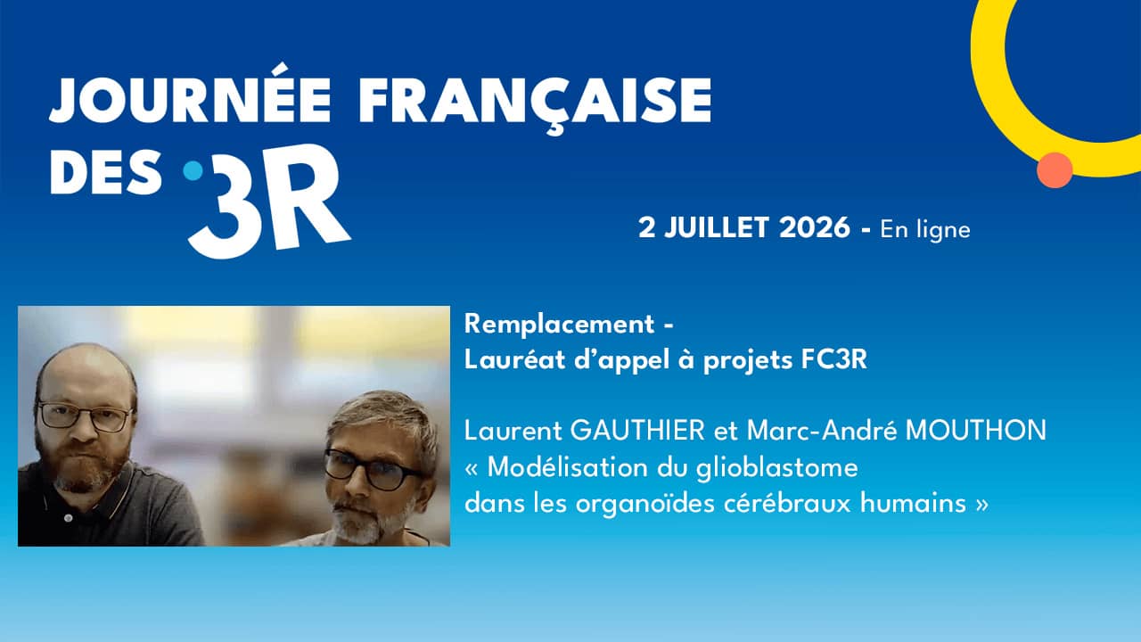 Laurent GAUTHIER,<br>Marc-Andr� MOUTHON