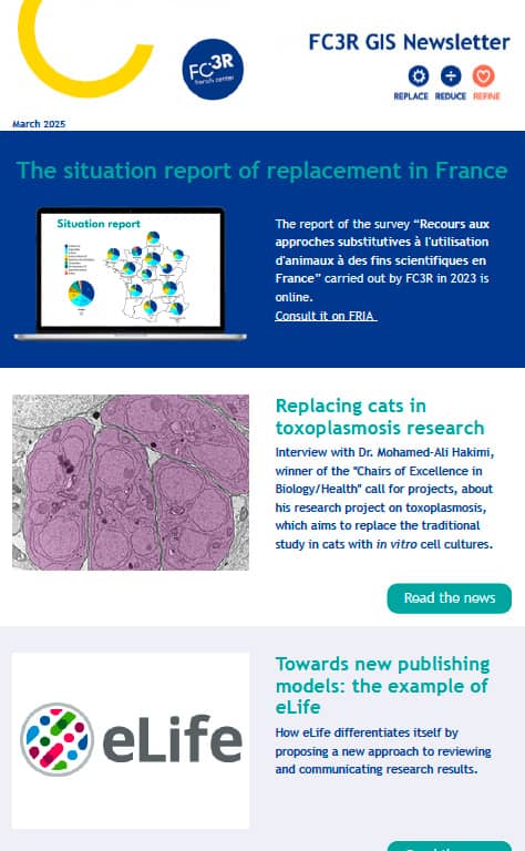 The March 2025 newsletter